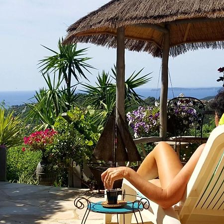 Nouveau ! Chambre D'Hote Insolite Privee " Coeurs De Pirates A Bali En Provence" Spa Sauna Massages Dans Cadre Exotique D'Amenagements Exterieurs D'Exception Ete Comme Hiver Bienvenue !!! Cavalaire-sur-Mer Buitenkant foto