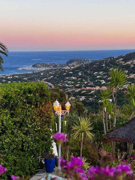 Nouveau ! Chambre D'Hote Insolite Privee " Coeurs De Pirates A Bali En Provence" Spa Sauna Massages Dans Cadre Exotique D'Amenagements Exterieurs D'Exception Ete Comme Hiver Bienvenue !!! Cavalaire-sur-Mer Buitenkant foto