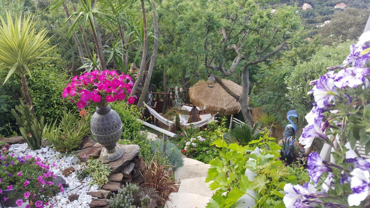 Nouveau ! Chambre D'Hote Insolite Privee " Coeurs De Pirates A Bali En Provence" Spa Sauna Massages Dans Cadre Exotique D'Amenagements Exterieurs D'Exception Ete Comme Hiver Bienvenue !!! Cavalaire-sur-Mer Buitenkant foto