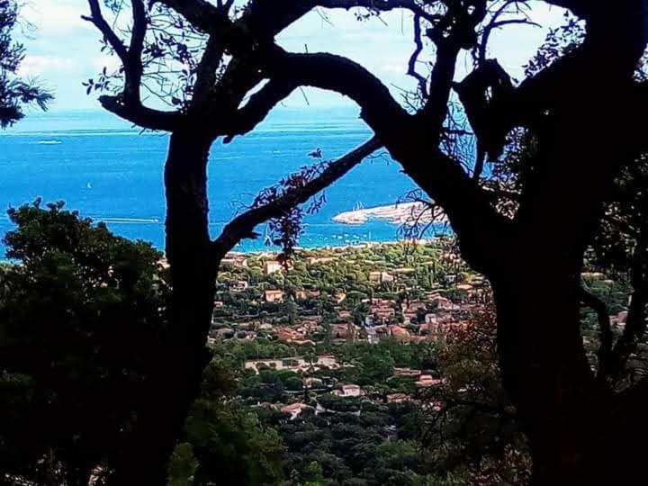 Nouveau ! Chambre D'Hote Insolite Privee " Coeurs De Pirates A Bali En Provence" Spa Sauna Massages Dans Cadre Exotique D'Amenagements Exterieurs D'Exception Ete Comme Hiver Bienvenue !!! Cavalaire-sur-Mer Buitenkant foto